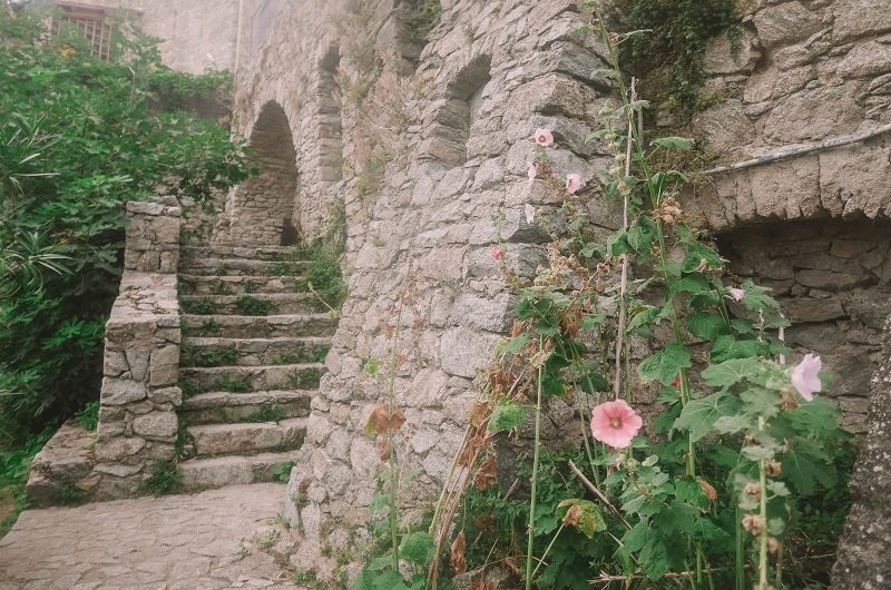 caves maison corallini