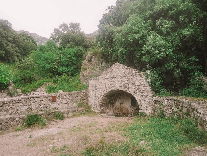 fontaine de lama