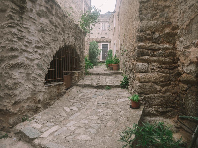 lama ruelle corse