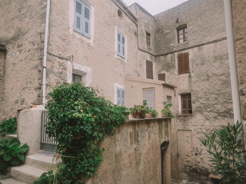 balagne village lama