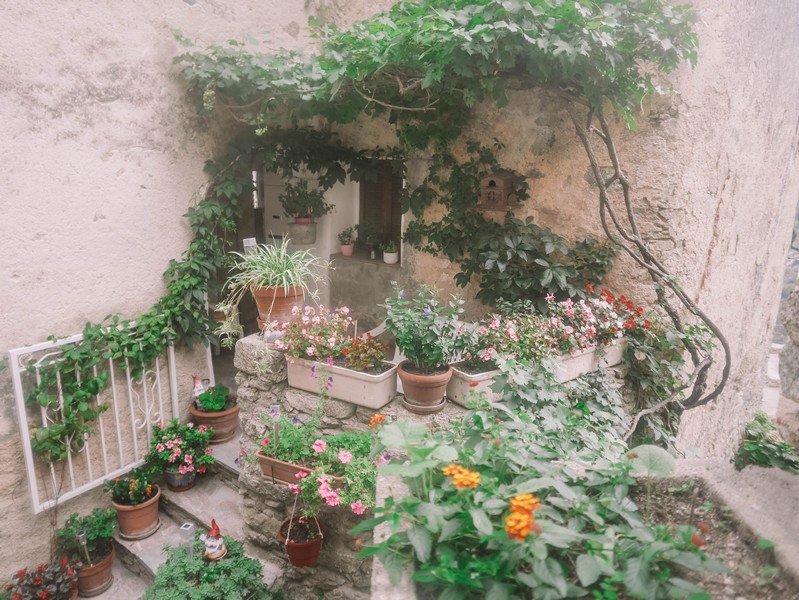 maison fleurie