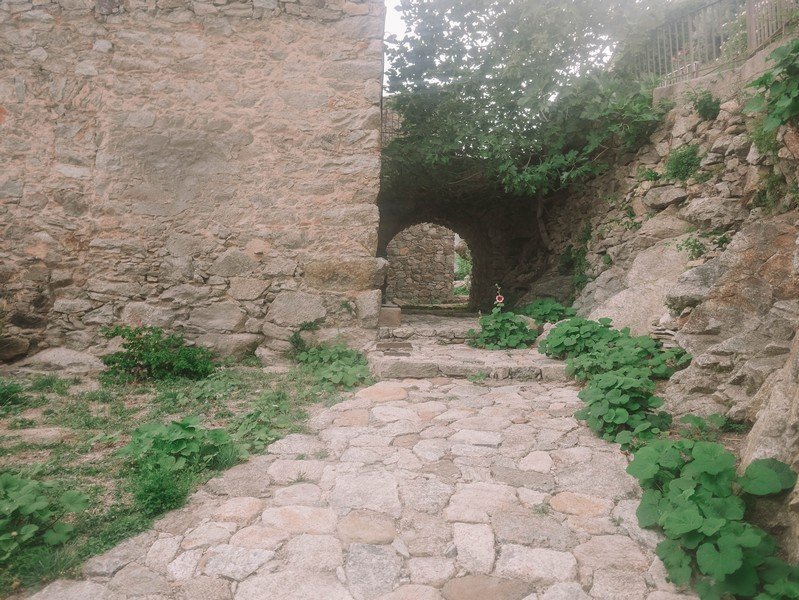 visiter lama en corse