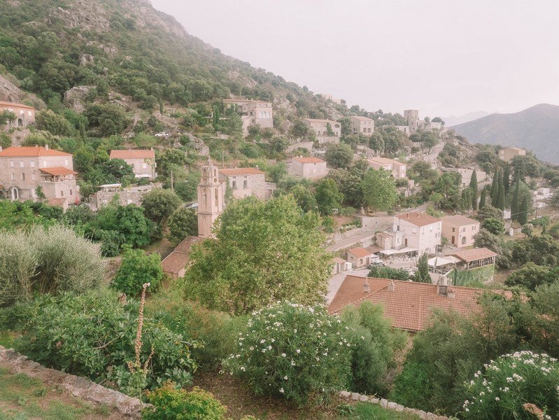 lama en balagne