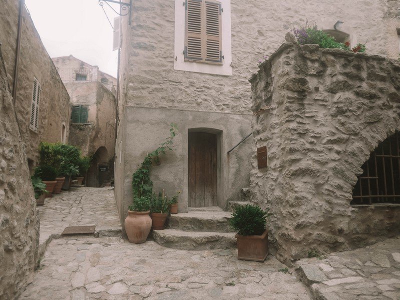 ruelle de lama en balagne