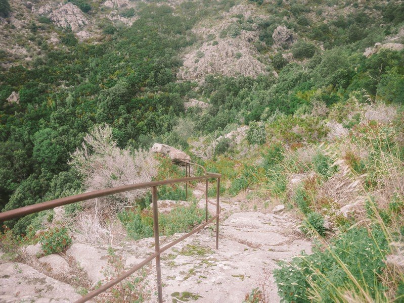 sentier randonnée lama en corse