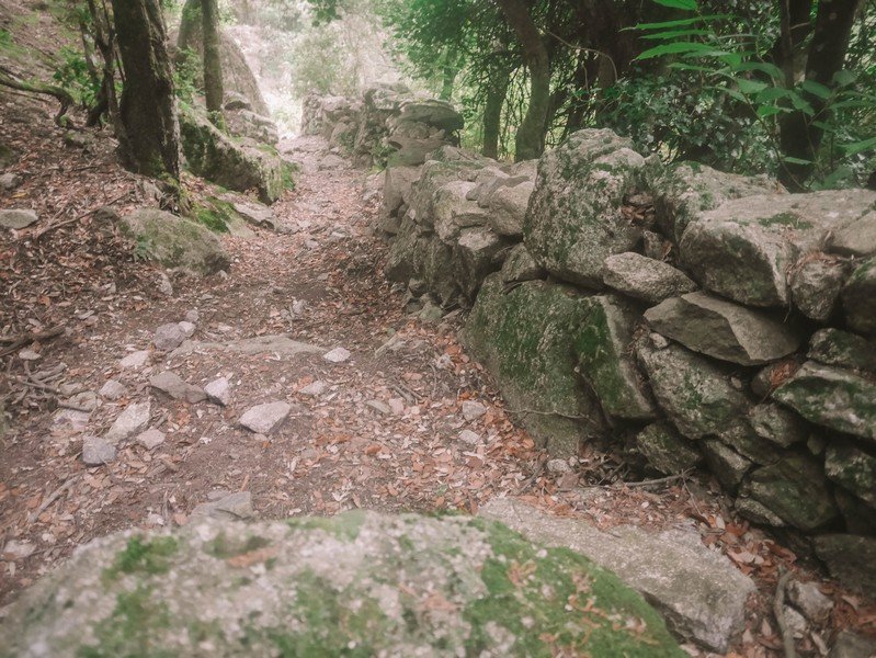 sentier avec mur en pierre sèche