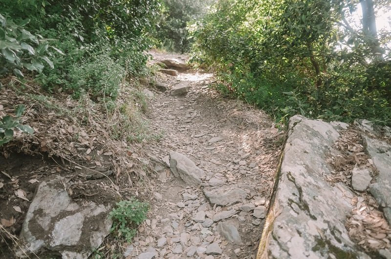 sentier seneque cap corse