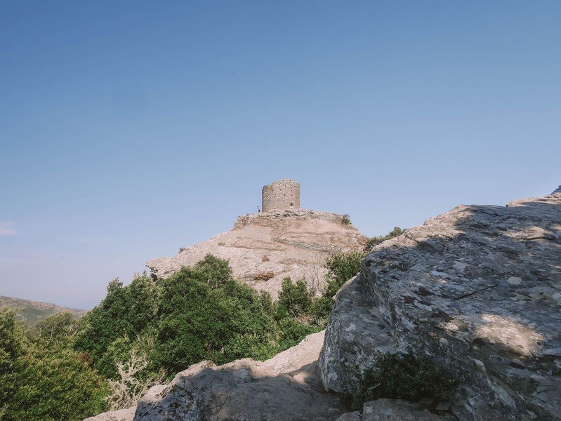 tour genoise pino