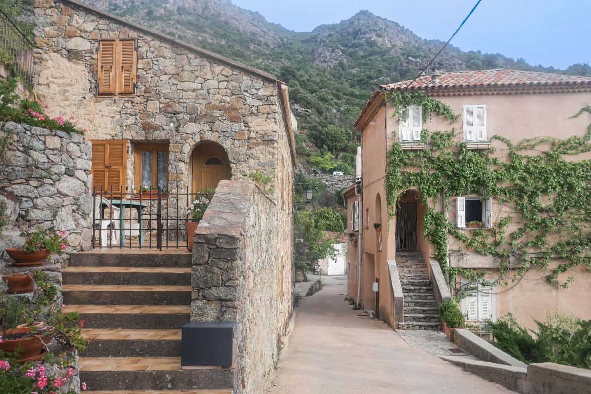 lama en corse