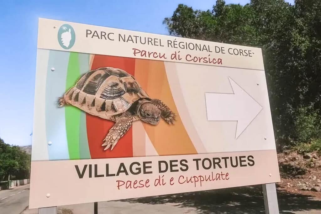 Le village des tortues à Moltifao
