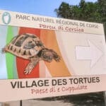 Le village des tortues à Moltifao