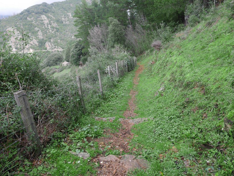 randonnée sentier des moulins cuttoli