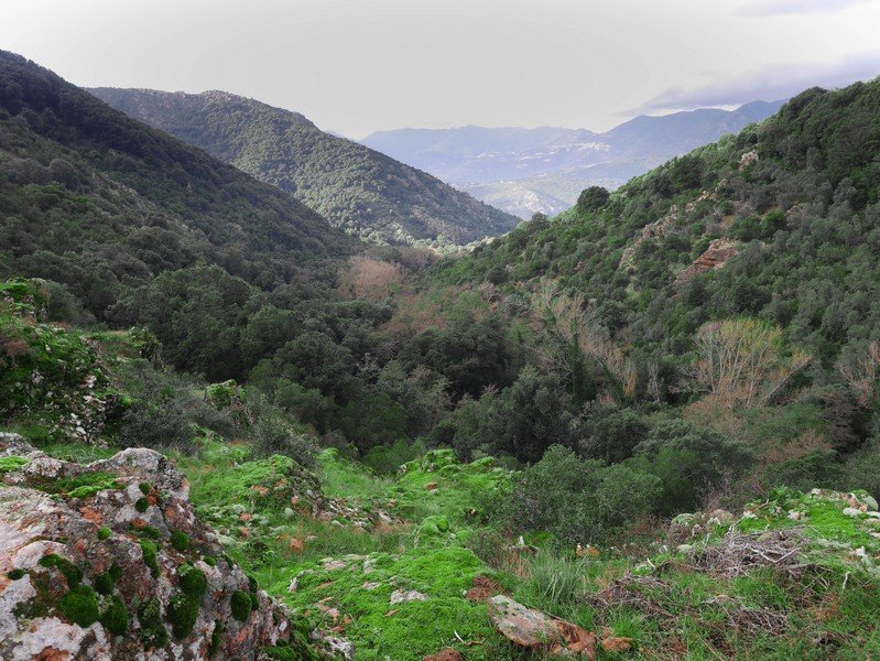 vallée corse