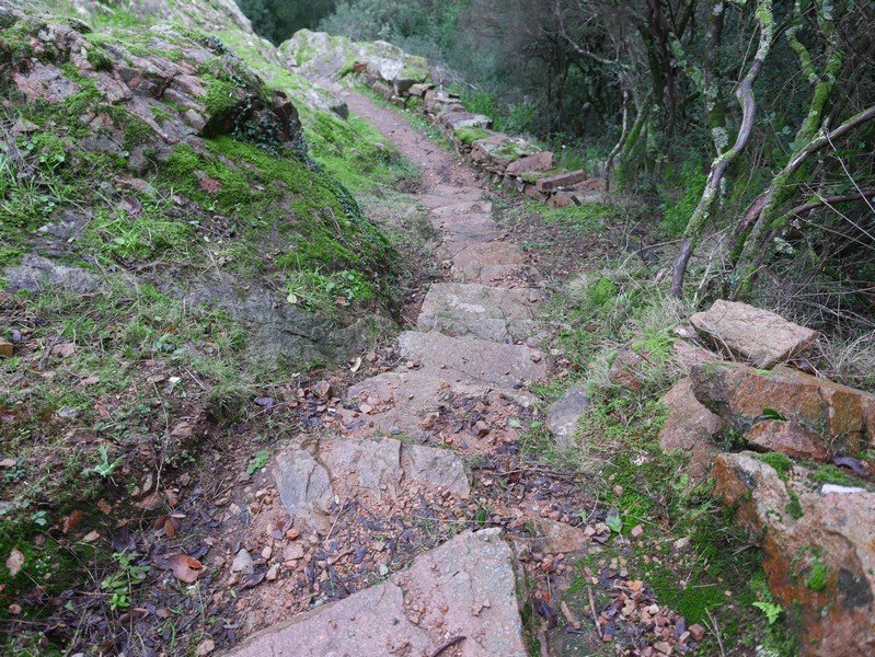 escalier randonnée corse