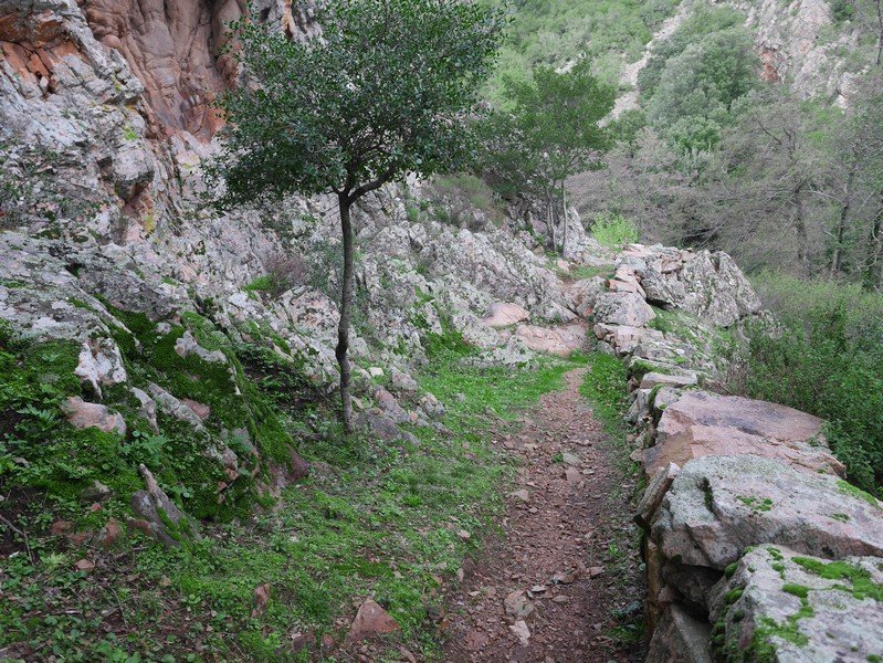 chemin des moulins cuttoli