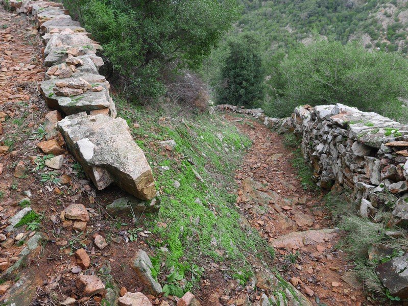 sentier de randonnée corse