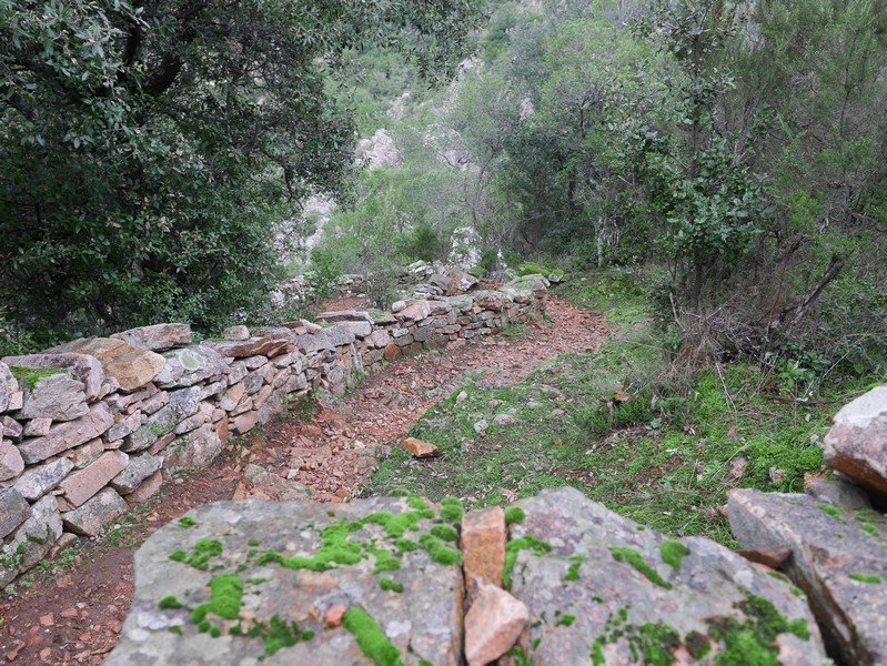sentier mur pierre sèche corse