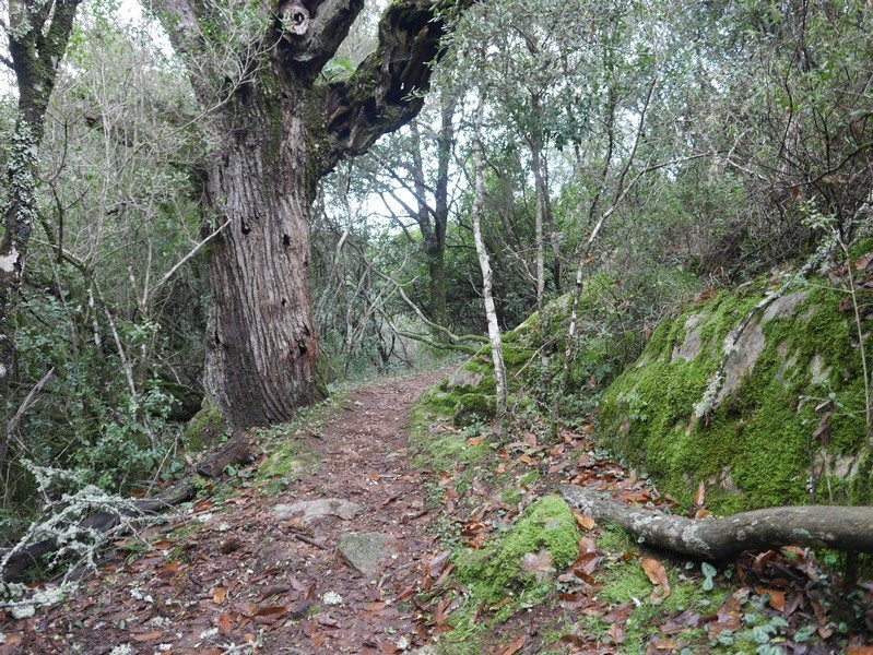 sentier de randonnée corse