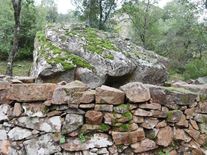 enclos à cochon corse