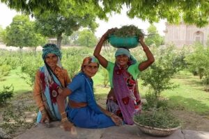 Principales régions de l'Inde