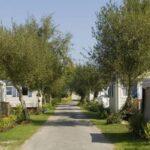 camping tente ou mobilhome
