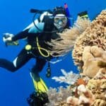 meilleurs sites de plongée dans les caraibes