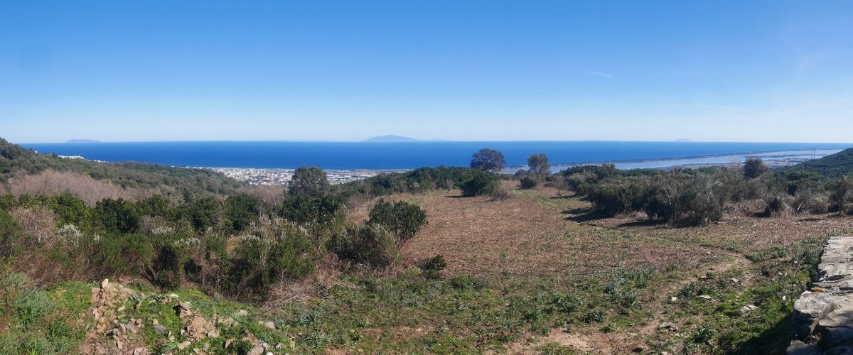 vue depuis chapelle santa maria furiani