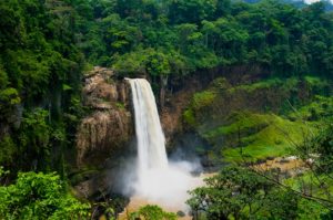 Voyage au Cameroun  guide d'un séjour réussi