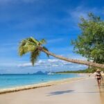 Conseils pratiques pour préparer un voyage en Martinique