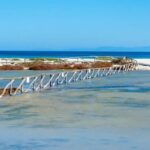 plage le saline sardaigne