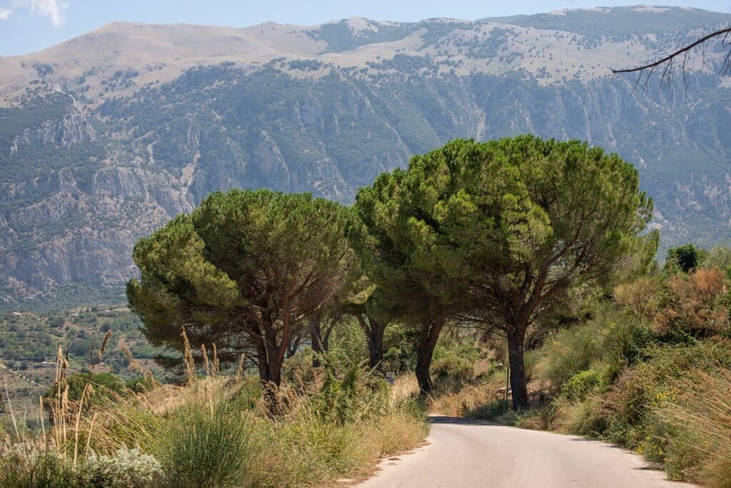 route dans le parc des Madonie