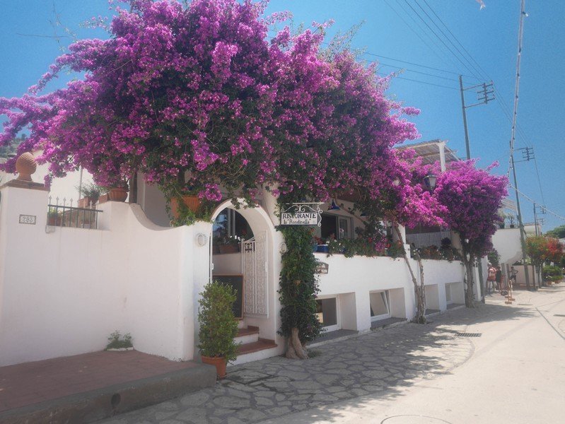 anacapri