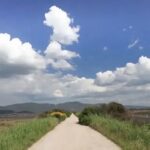 Parc naturel de la Maremme : informations, conseils, itinéraires, etc