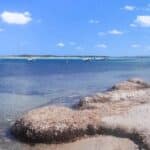 plage de piantarella