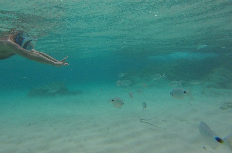 snorkeling grand sperone