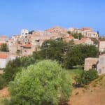 pigna