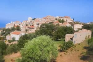 pigna