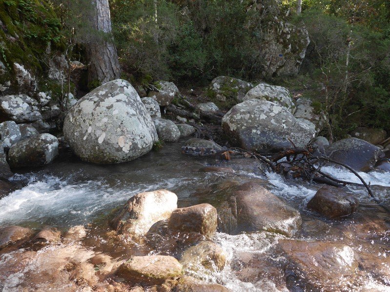 rivière figarella