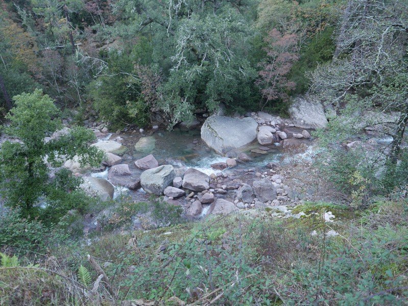 bonifato rivière figarella
