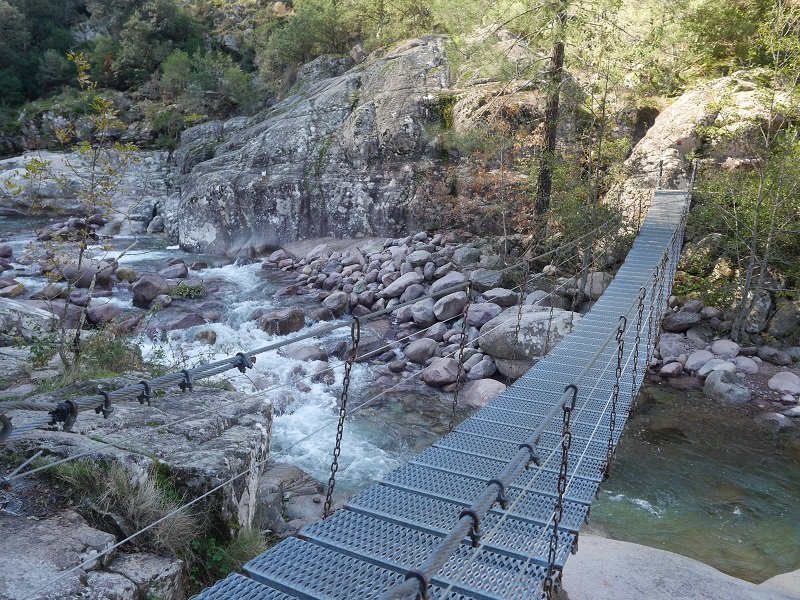 forêt de bonifato passerelle