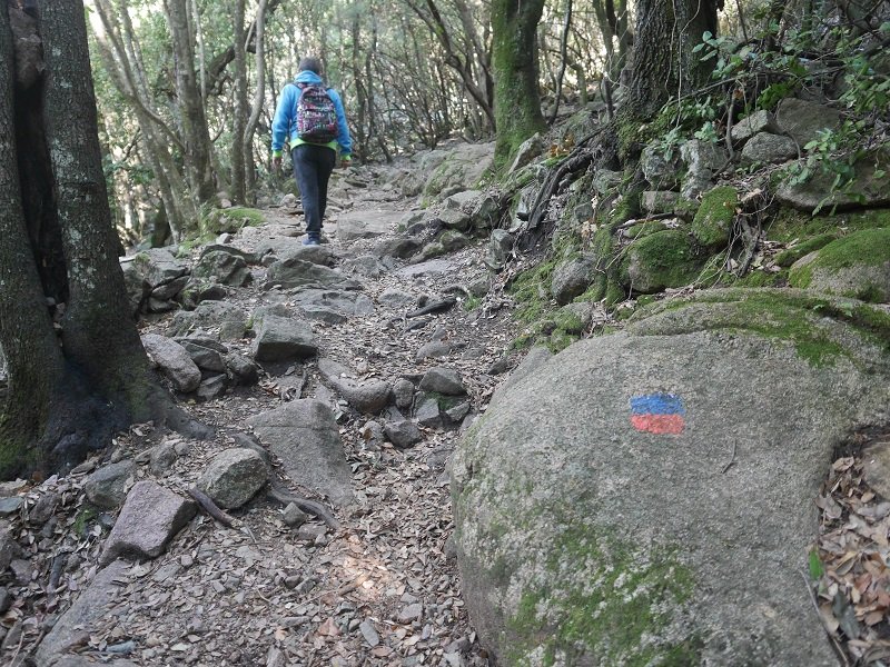 foret de bonifato randonnée