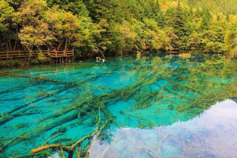 Lac des Cinq Fleurs en Chine le joyau du parc de Jiuzhaigou