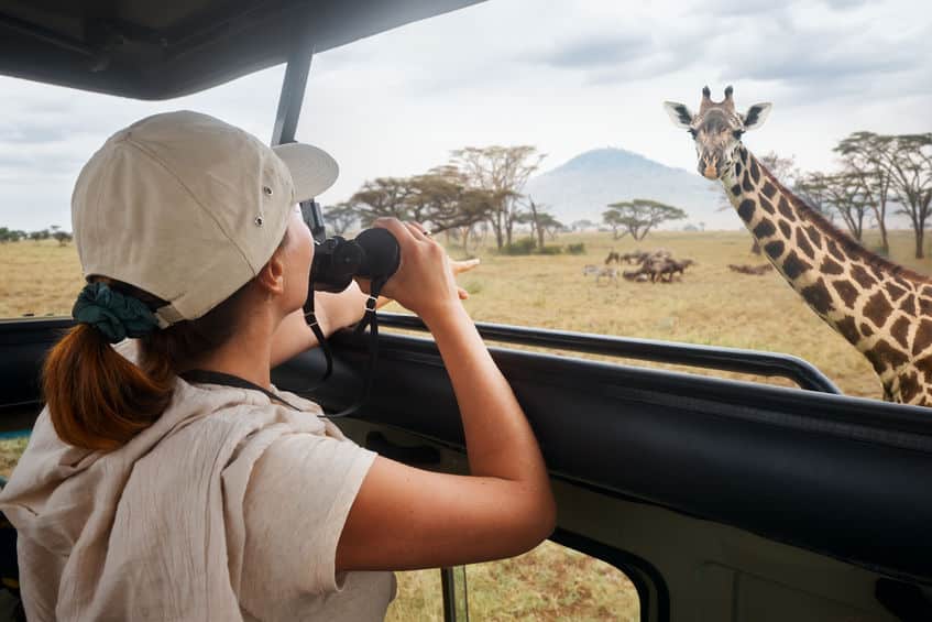 serengeti safari