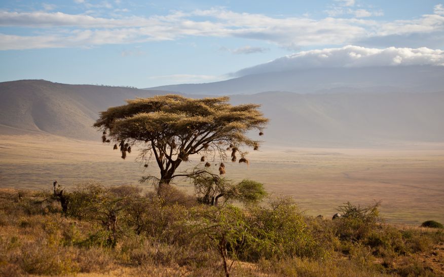 Zone de conservation du Ngorongoro : guide de visite