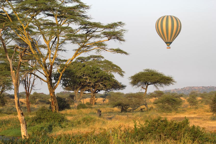 serengeti montgolfière