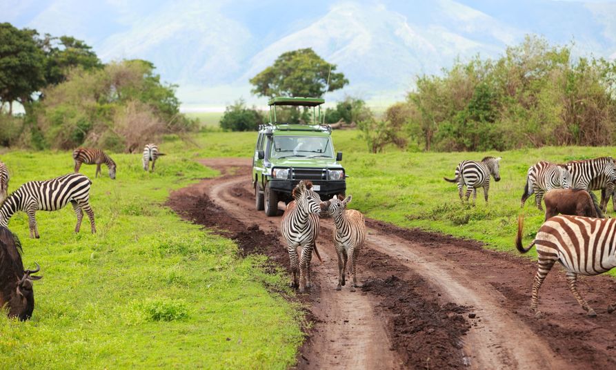 Zone de conservation du Ngorongoro safari