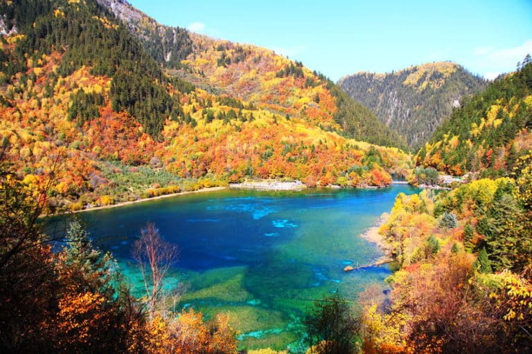 Lac des Cinq Fleurs en Chine le joyau du parc de Jiuzhaigou