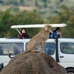 Réserve nationale du Masai Mara au Kenya