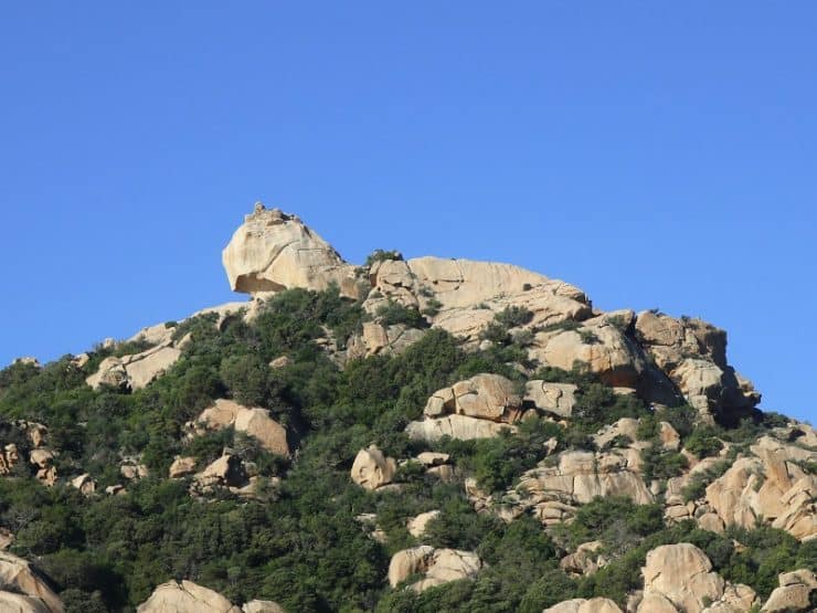 lion de roccapina