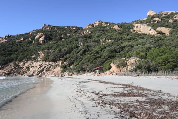 plage roccapina hiver